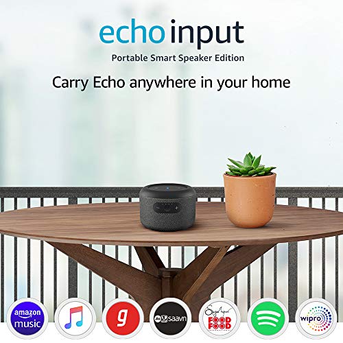Echo Input Portable with Wipro 12W LED smart color bulb