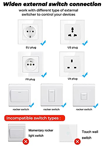 Denler 16A Wi-Fi Smart Switch for Plug Suitable for Small & Large Appliances Lights, Fans, TV, Microwave, Oven (Works with Alexa and Google Assistant)- White