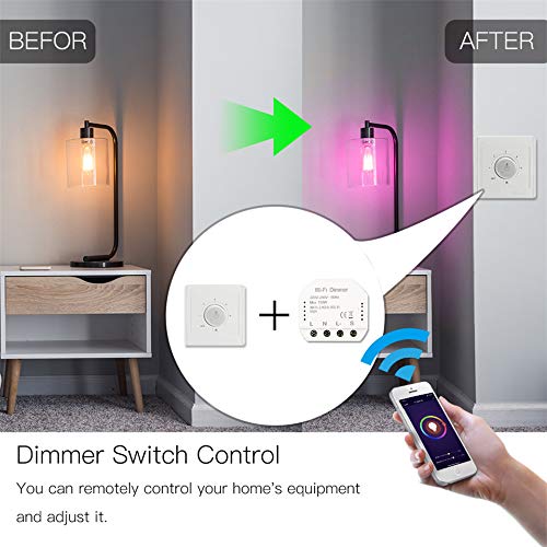 IFITech 10A WiFi Smart Switch Dimmer DIY Module for Smart Home Automation Solution | No Hub Required | Compatible with Alexa, Google Home and IFTTT | Timer Controller (White)