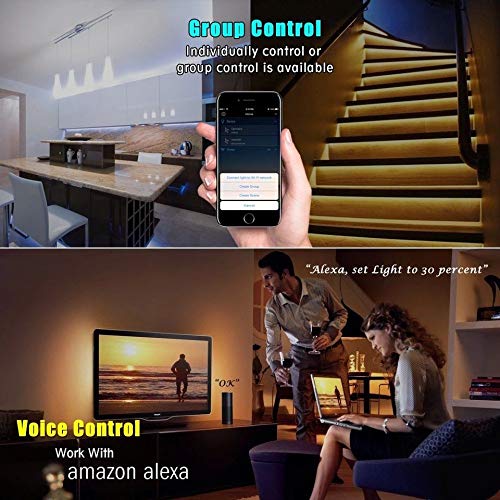 Global Tech WiFi ABS Smart LED Strip Controller, Convert Any LED Strip into Smart WiFi Enabled Strip RGB Option Work with Alexa and Google Assistant/Home (White)