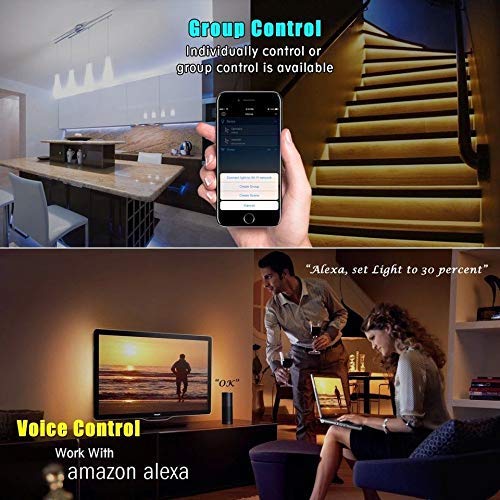 HomeMate® WiFi Multicolour Smart LED Kit, 5 Metre, Music Sync Feature, Compatible with Alexa and Google Home