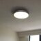 Philips Hue Semeru Smart Ceiling Light (White Ambiance) 52W (Compatible with Amazon Alexa, Apple HomeKit, and Google Assistant)