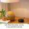 Echo Dot (3rd Gen), Certified Refurbished, Grey – Improved smart speaker with Alexa – Like new, backed with 1-year warranty